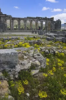 Images Dated 27th January 2010: Volubilis Roman ruins, UNESCO World Heritage site