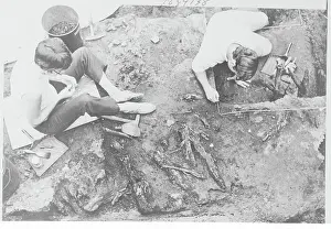 Volunteer Excavators with Ancient Tree Particles