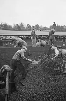Coal Prints: Volunteer Workers