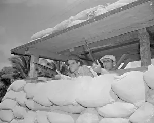 Honolulu Prints: Volunteers During Pearl Harbor Standoff