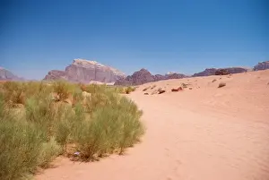 Wadi Rum Prints: Wadi rum