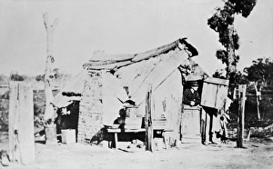 Life Collection: Wagga Wagga