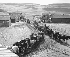 Bpa2 Prints: Wagon Train Driving Through Town