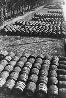 Brewing And Winemaking Prints: Waiting Barrels