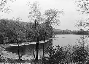State Park Prints: Walden Pond from Henry David Thoreau's Hut