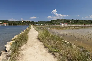 Images Dated 18th July 2014: Walk through the salt works in the nature reserve of Strunjan, Adriatic Coast, Istria, Slovenia