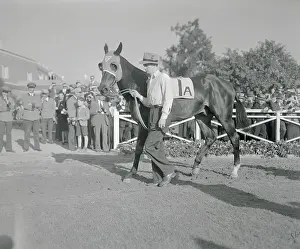 Seabiscuit Prints: Walking Racehorse Seabiscuit Around Track