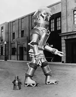 A Walking Robot