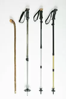 In A Row Gallery: Walking sticks