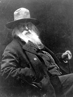 Three Lions Prints: Walt Whitman