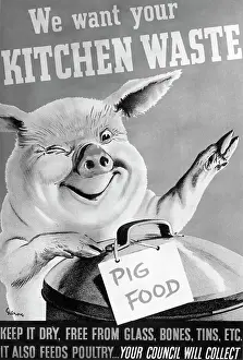 Pollution Prints: We Want Your Kitchen Waste Poster
