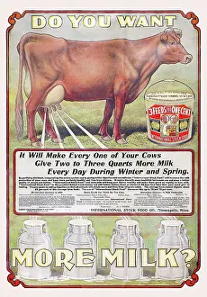 Bovine Prints: Do You Want More Milk?
