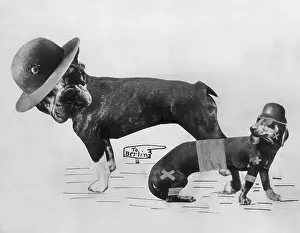 War And Conflict Prints: War Dogs