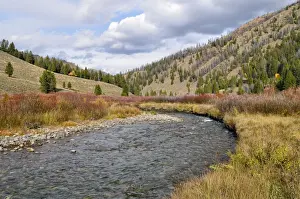 Flowing Prints: Warm Springs Creek, downstream, Ketchum, Idaho, USA