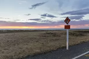 Warning sign Caution Penguins on a coastal road at dusk, Cape Palliser, Wellington Region, New Zealand