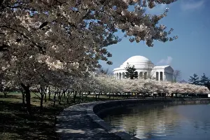 WASHINGTON D.C