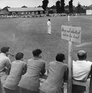 Watching Cricket