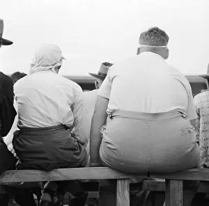 Cricket Prints: Watching Cricket