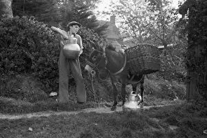 Donkey Prints: Water Distribution