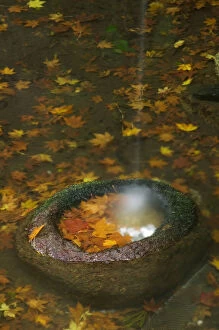 Images Dated 24th April 2006: Water feature in garden, Kyoto, Honshu, Japan, elevated view