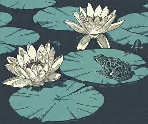 Medium Group Of Objects Prints: Water Lillies and Toad
