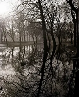 Water Reflecting the Trees of Victoria Park