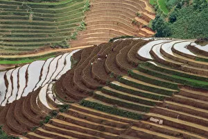 Images Dated 5th June 2016: Water season in rice terrace paddies in North Vietnam