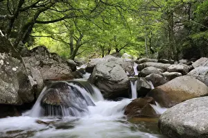 Flows Prints: Watercourse in Spelunka Gorge in Corsica, France, Europe