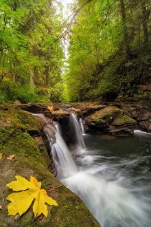 Fall Season Prints: Waterfall aat Rock Creek in Clackamas Oregon in Fall Season