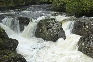 Images Dated 2nd October 2012: Waterfall, Betws-y-Coed, Wales, United Kingdom, Europe