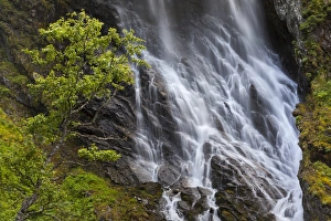 Images Dated 8th August 2012: Waterfall, Flam Valley, Flam, Sogn og Fjordane, Norway