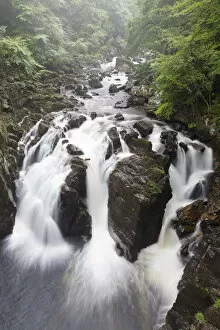 Images Dated 9th July 2016: Waterfall at the Hermitage bridge on rainy day - Scotland