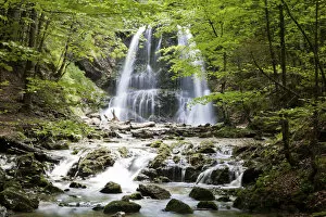 Waterfall, Josefstal, Schliersee, Upper Bavaria, Bavaria, Germany