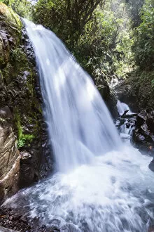 Jungle Gallery: Waterfall in the lush green forest of Costa Rica