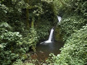 Waterfall in the Monteverde Cloud Forest Reserve, Reserva Biologica Bosque Nubosa Monteverde, Monteverde