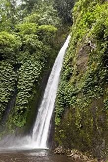 Waterfall near Munduk, North Bali, Bali, Indonesia, Southeast Asia, Asia