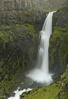 Images Dated 9th July 2011: Waterfall, north coast, Iceland, Europe