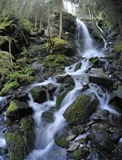 Images Dated 2nd May 2011: Waterfall, Themenweg Wildwasser white water learning path, Mariensee, Lower Austria, Austria, Europe
