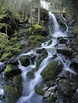 Flowing Prints: Waterfall, Themenweg Wildwasser white water learning path