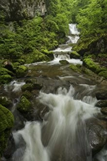 Images Dated 2nd June 2013: Waterfall in Twannbachschlucht gorge in the Swiss Jura Mountains, Biel, Canton of Solothurn