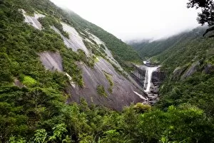 Granite Gallery: Waterfall in Unesco heritage rainforest of Japan