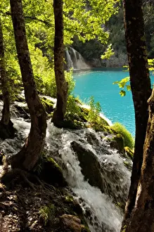 Lika Senj County Prints: Waterfall in the woods