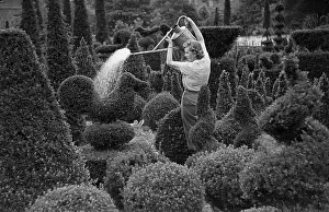 Cultivated Plants Prints: Watering At Kew