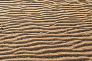 Images Dated 3rd September 2012: Wave pattern in the sand, Sossusvlei, Namib Desert, Namibia