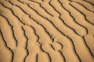 Images Dated 2nd September 2012: Wave pattern in the sand, Sossusvlei, Namib Naukluft Park, Namibia