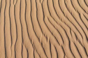 Wave pattern in the sand, Sossusvlei, Namib-Naukluft National Park, Namibia