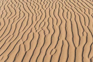 Images Dated 2nd September 2012: Wave pattern in the sand, Sossusvlei, Namib-Naukluft National Park, Namibia