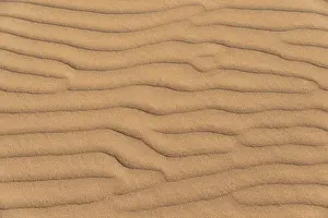 Ripple Prints: Wave pattern in the sand, Sossusvlei, Namib-Naukluft National Park, Namibia