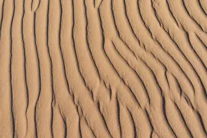 Ripple Prints: Wave pattern in the sand, Sossusvlei, Namib-Naukluft National Park, Namibia