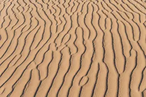 Ripple Prints: Wave pattern in the sand, Sossusvlei, Namib-Naukluft National Park, Namibia